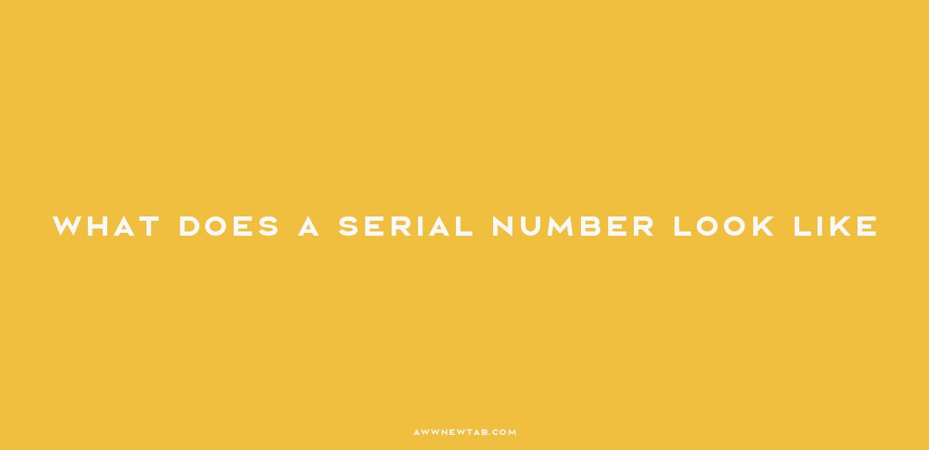 what-does-a-serial-number-look-like-decoding-the-anatomy-variations